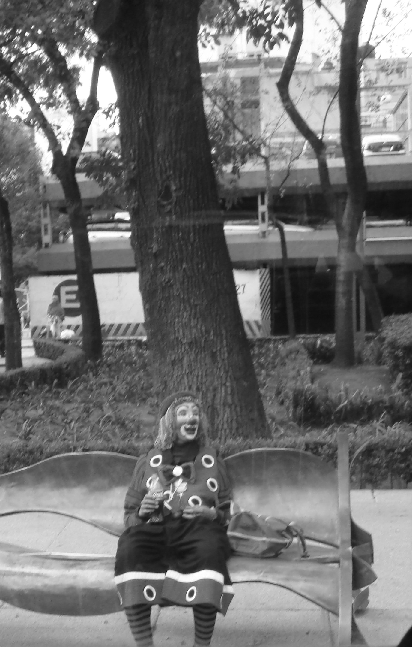dsc04595copy