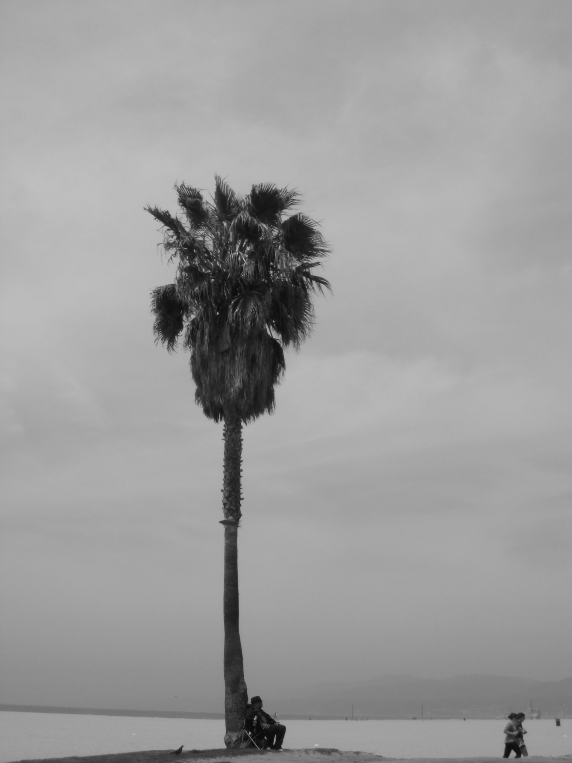disneyland 173